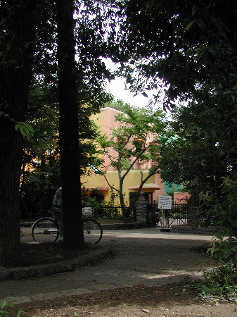 57 - Museum through Trees